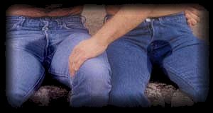 pals.jpg (9673 bytes)